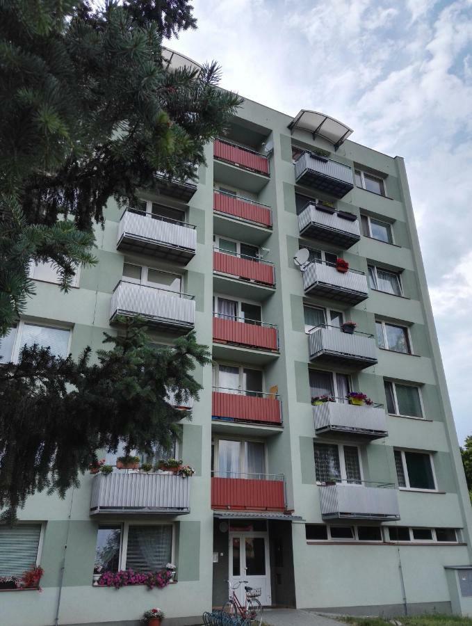 Apartman-Trebon-Centrum Bagian luar foto